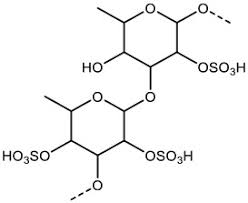 fucoidon